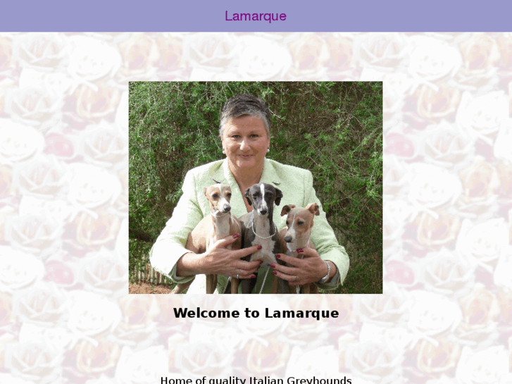 www.lamarquedogs.com