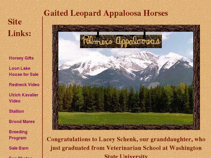 www.leopardappaloosa.com