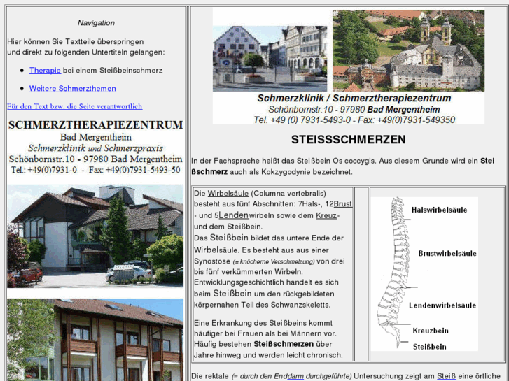 www.steissschmerzen.de