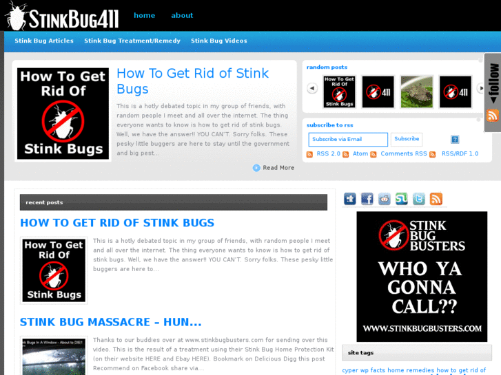 www.stinkbug411.com