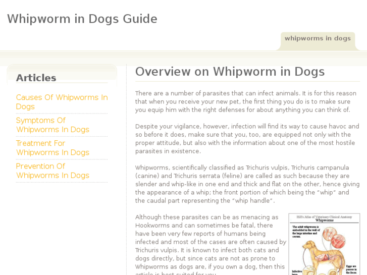 www.whipwormsindogs.com