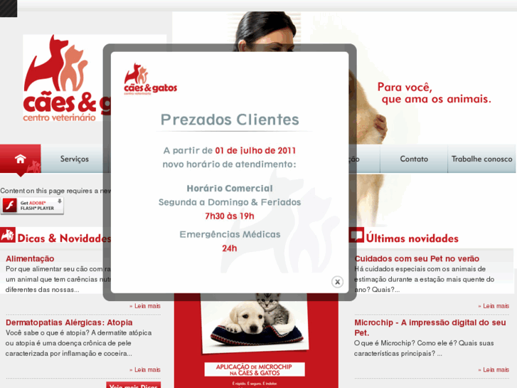 www.caesegatos.com