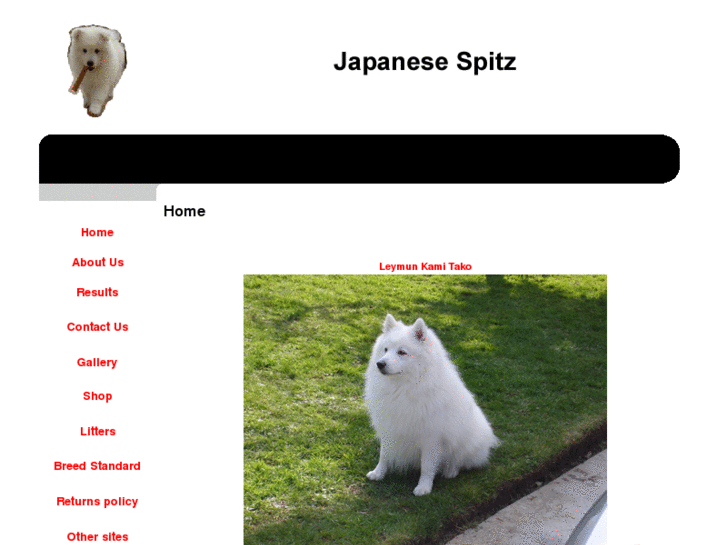 www.japanesespitz.co.uk