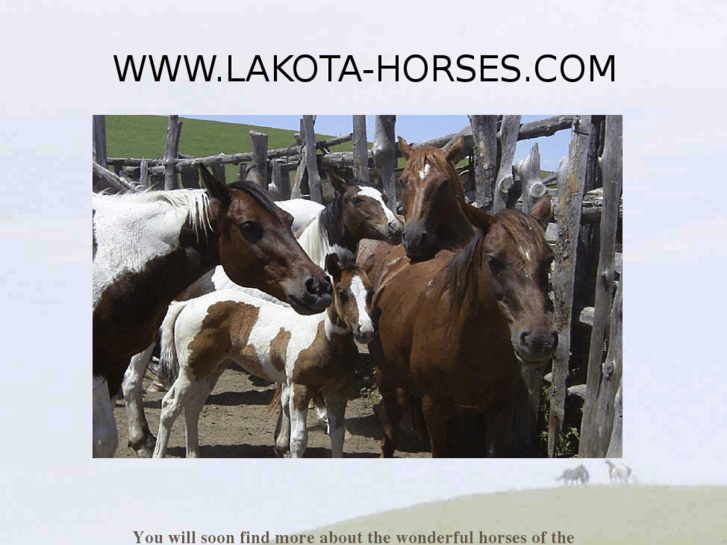 www.lakota-horses.com