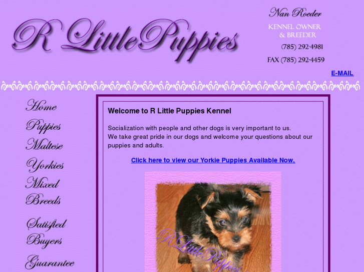 www.rlittlepuppies.com