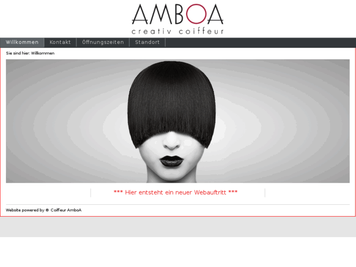 www.amboa.ch