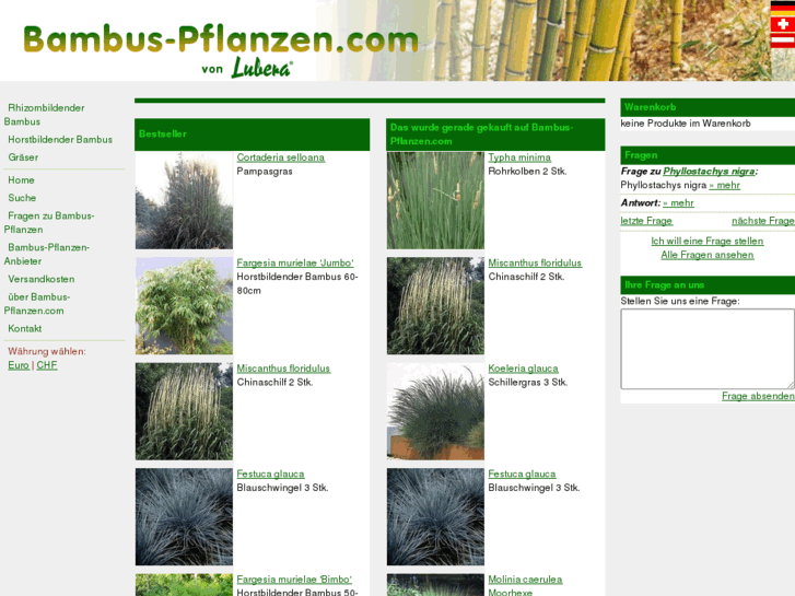 www.bambus-pflanzen.com