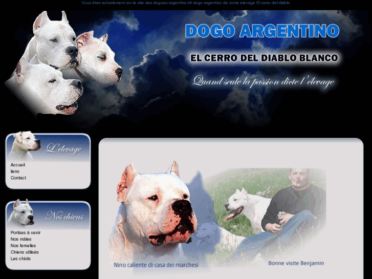 www.dogue-argentin.com