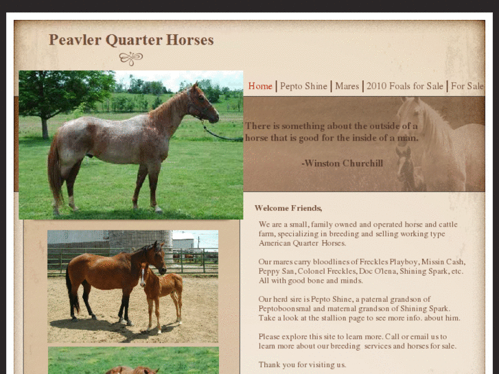 www.peavlerquarterhorses.com