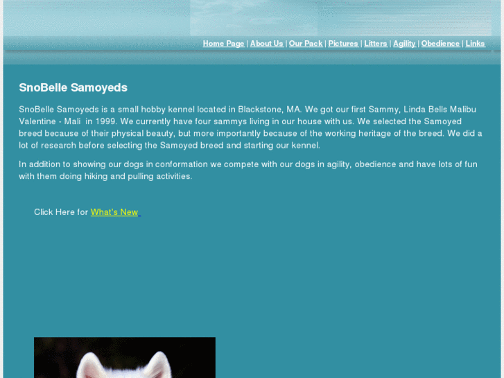 www.snobellesamoyeds.com