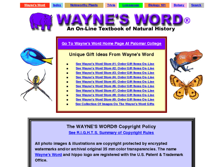 www.waynes-word.com