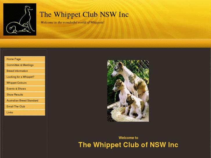 www.whippetclubnsw.com