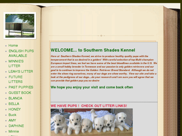 www.englishgoldenpups.com