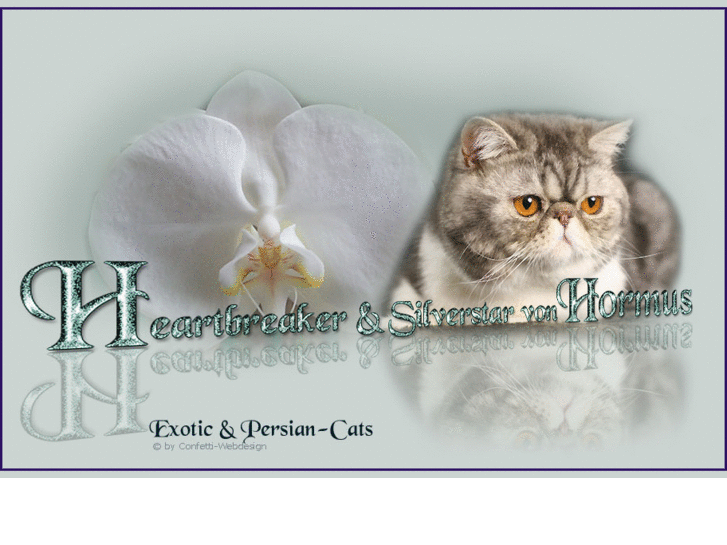 www.heartbreakercattery.de