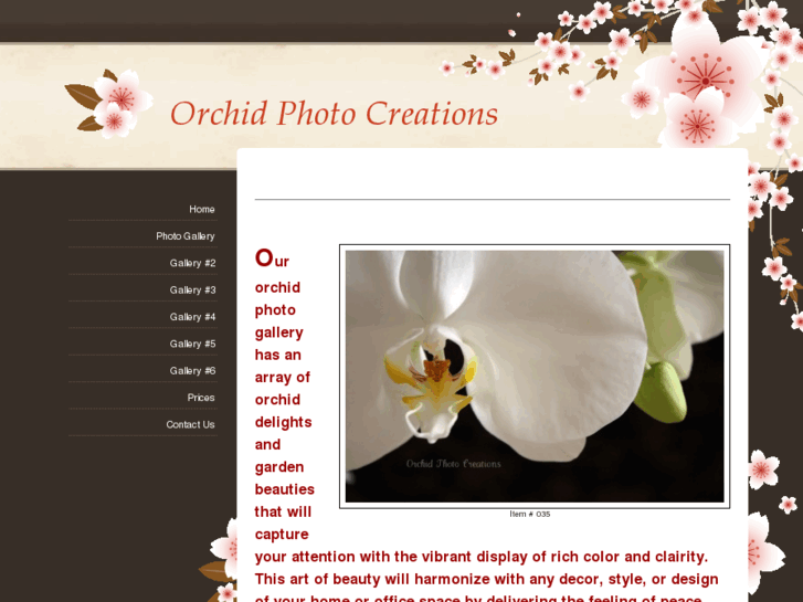 www.orchidphotocreations.com