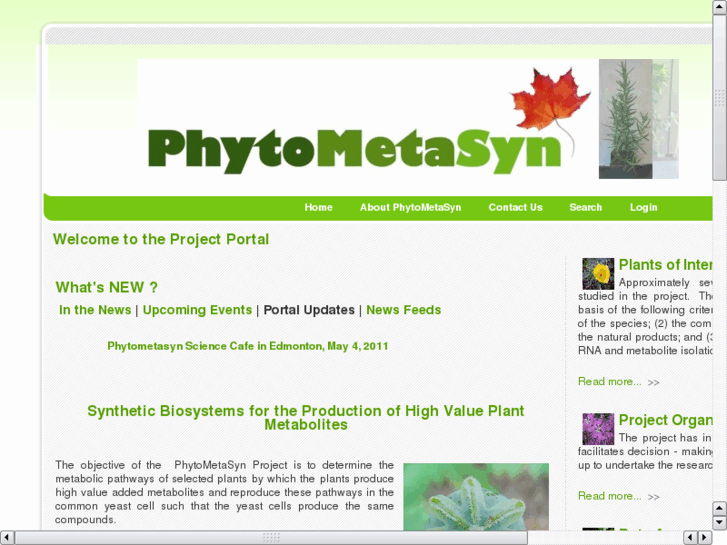 www.phytometasyn.com