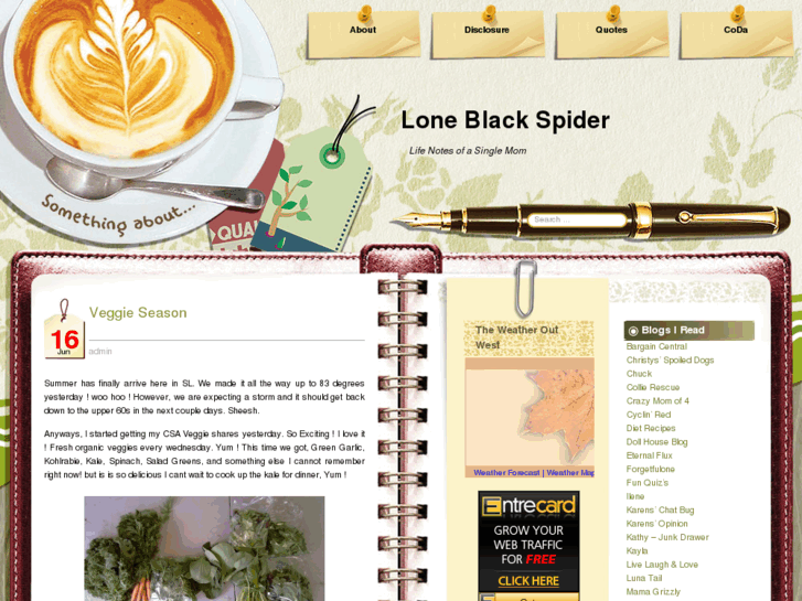 www.loneblackspider.com