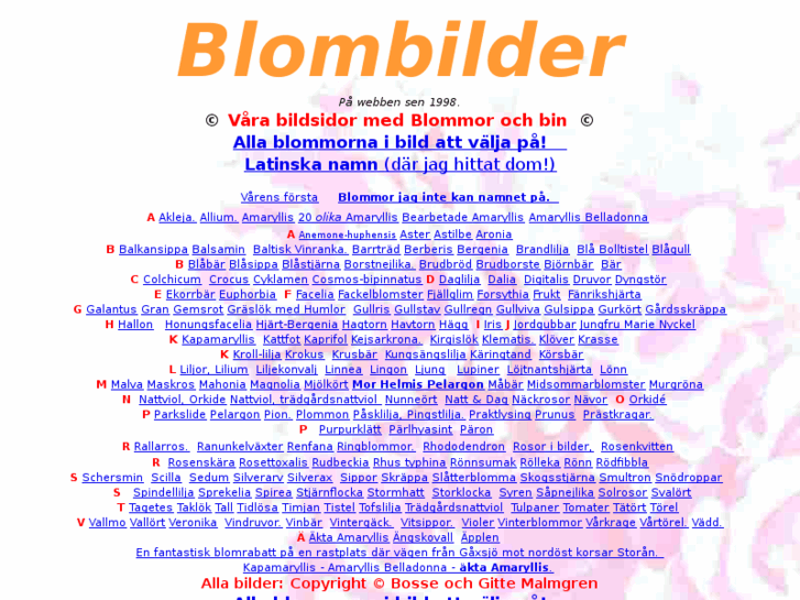 www.blombilder.se