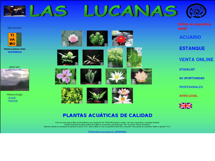 www.lucanas.com