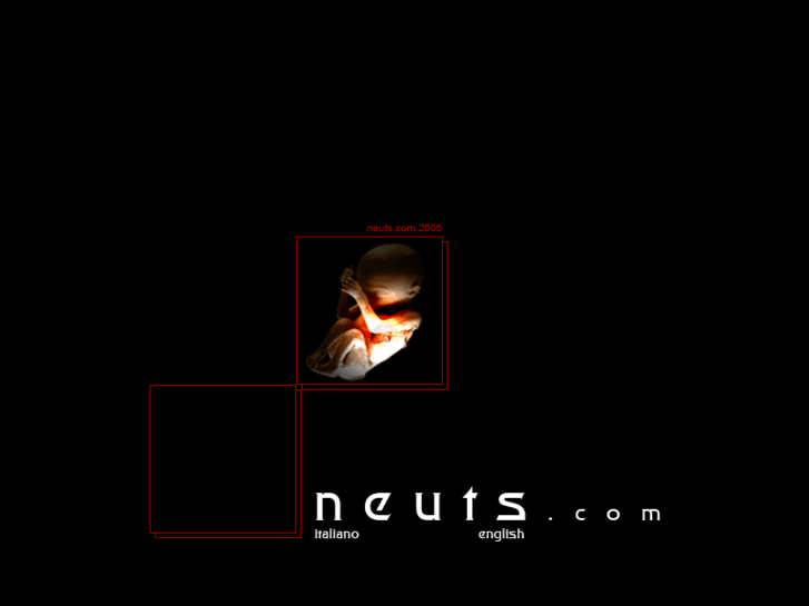 www.neuts.com