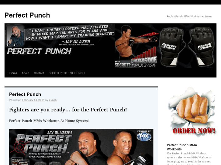 www.perfectpunchgloves.com