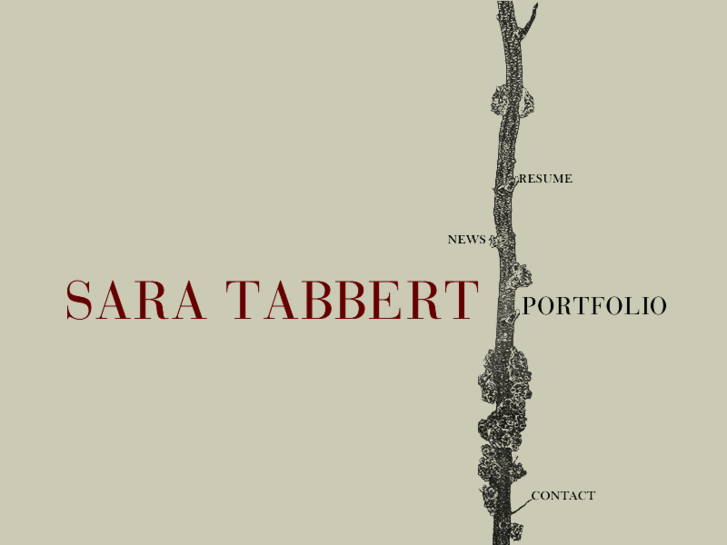 www.saratabbert.com