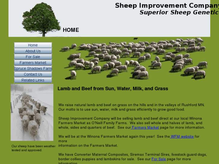 www.sheepimprovement.com