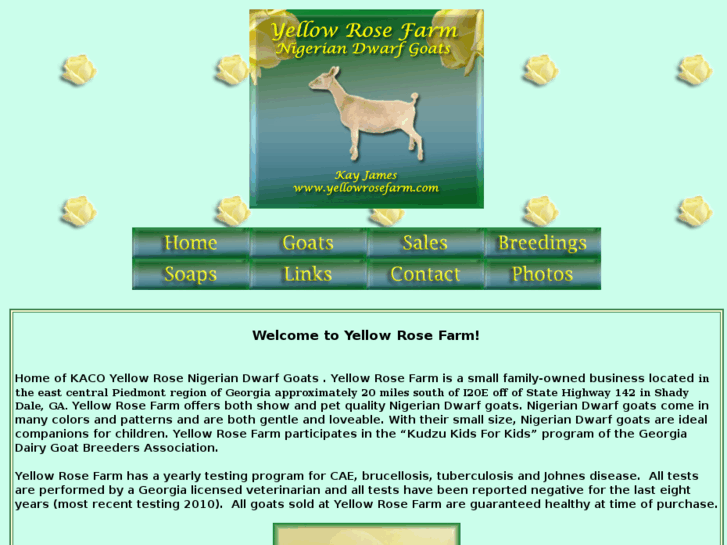 www.yellowrosefarm.com