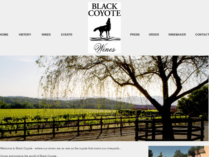 www.blackcoyotewines.com