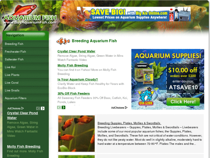 www.buyaquariumfish.com