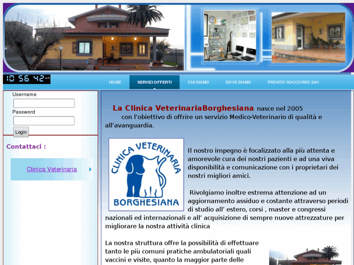 www.clinicaveterinariaborghesiana.com