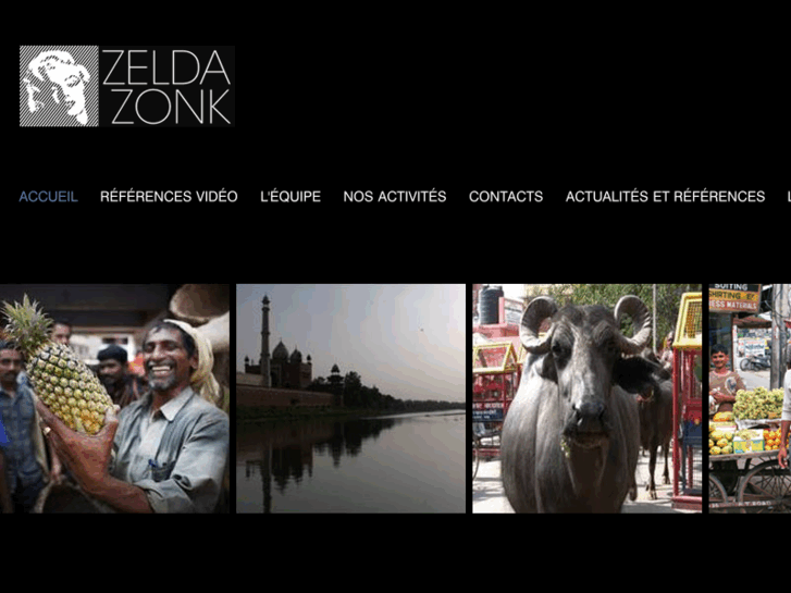 www.zeldazonk.com