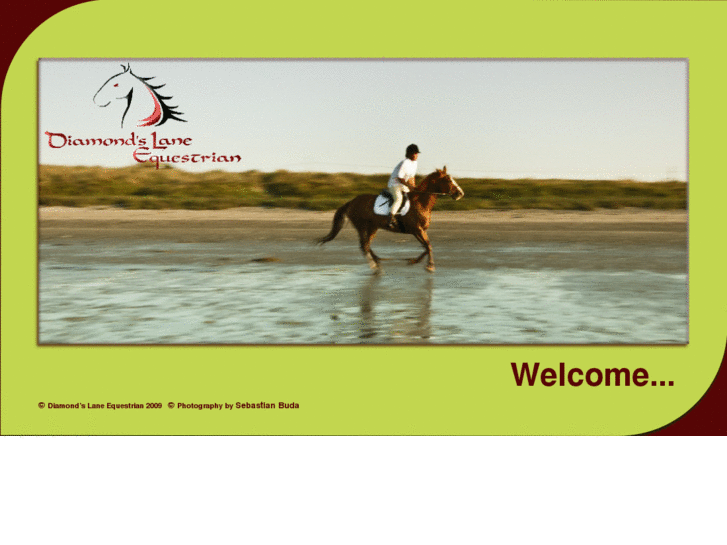 www.northernirelandnaturalhorsemanship.com