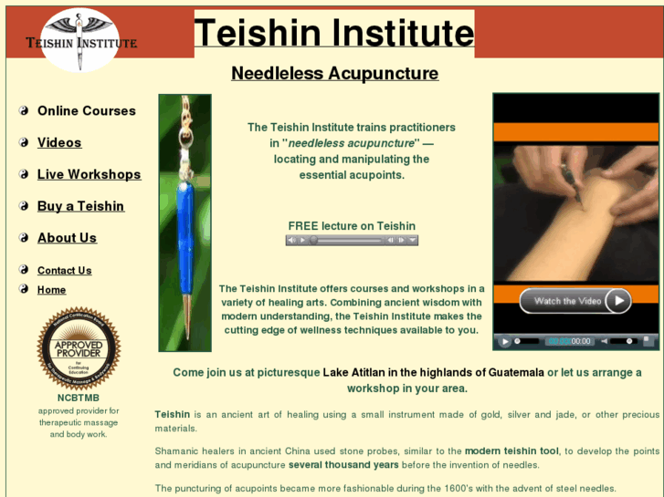 www.teishininstitute.com