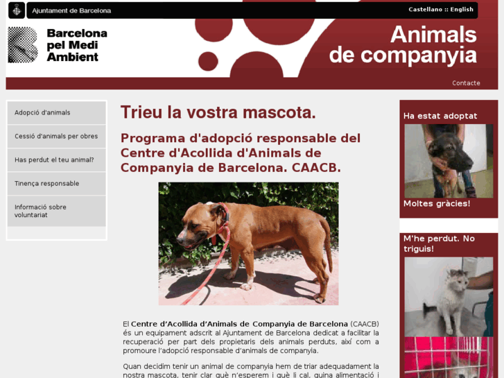 www.adoptabcn.es