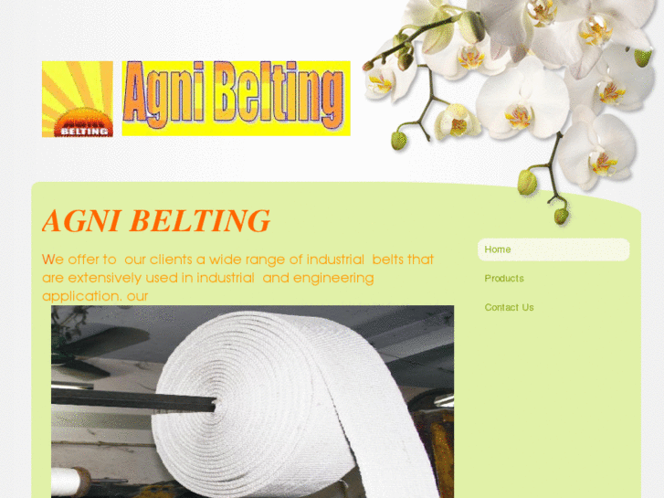 www.agnibelting.com