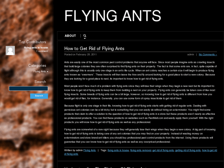 www.flying-ants.com