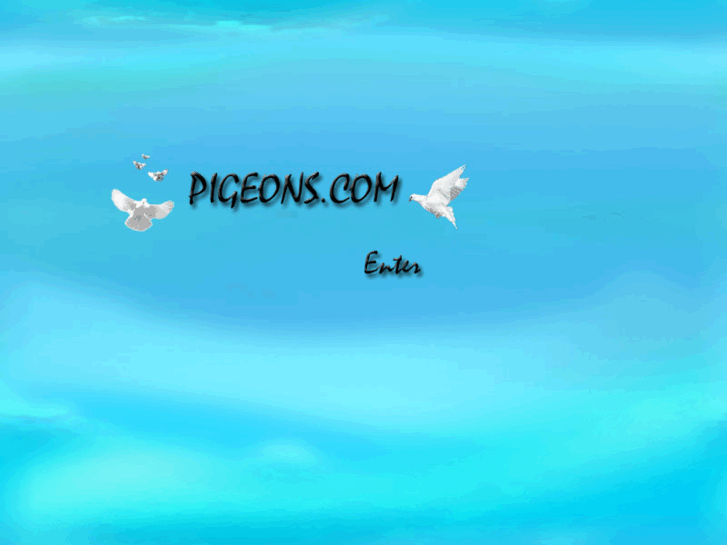 www.pigeons.biz