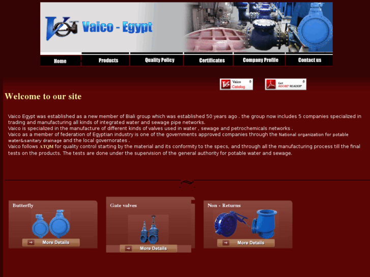 www.vaicovalves.com