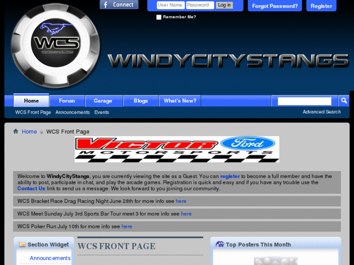 www.windycitystangs.com