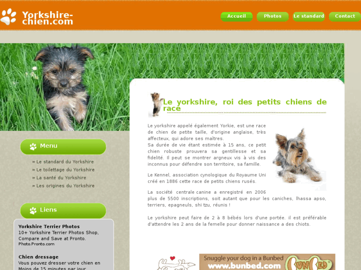 www.yorkshire-chien.com