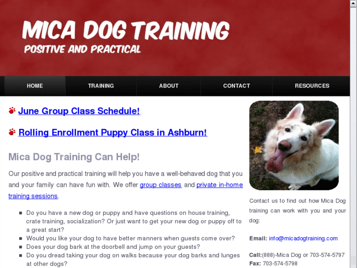 www.micadogtraining.com