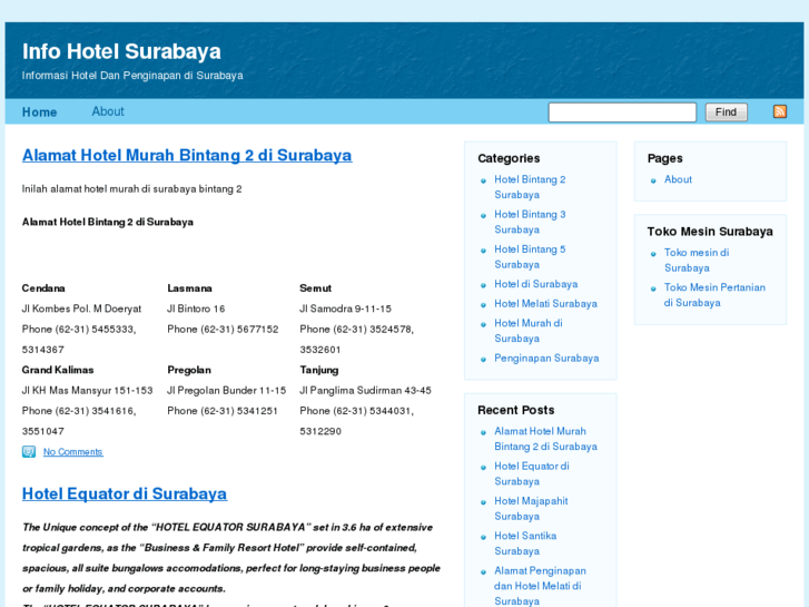 www.infohotelsurabaya.com
