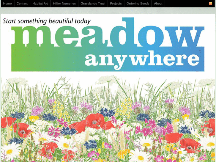 www.meadowanywhere.com