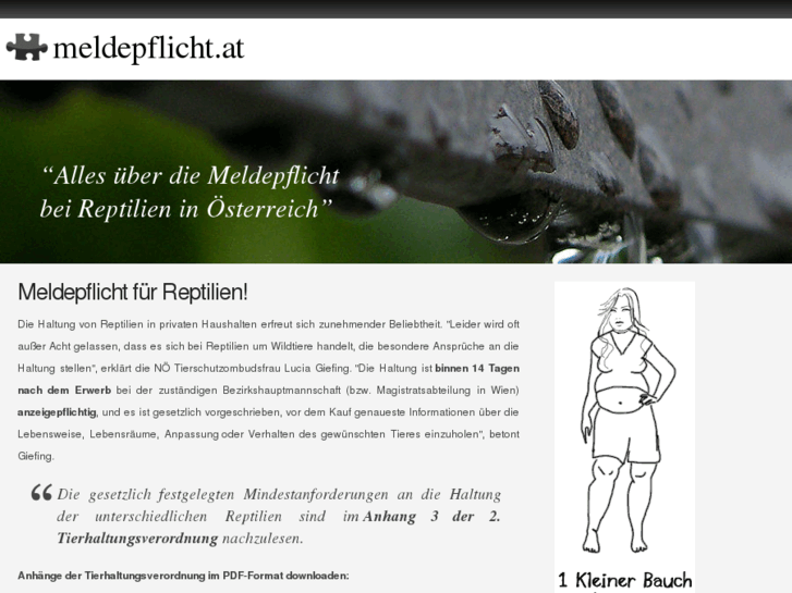 www.meldepflicht.net