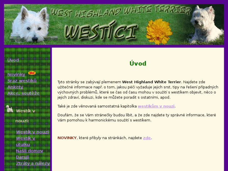 www.westici.net