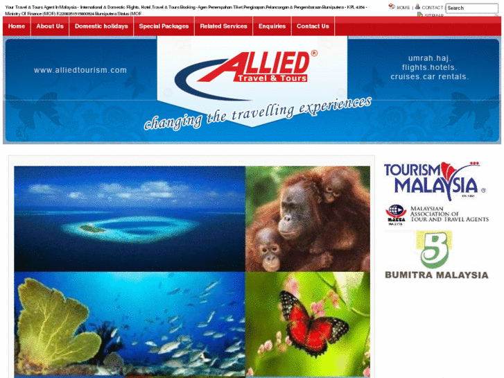 www.alliedtourism.com