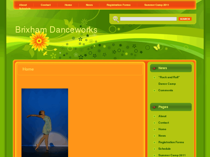 www.brixhamdanceworks.com