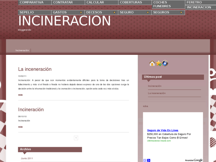 www.incineracion.net