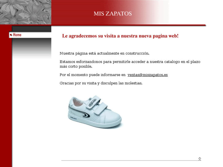 www.miszapatos.es